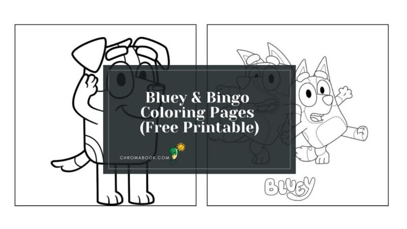 Bluey and Bingo Coloring Pages - Bluey Bingo Coloring Pages 800x450 