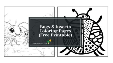 A detailed coloring page featuring various bugs and insects, perfect for kids and adults alike. Free printable for creative fun!