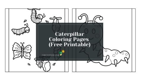 A whimsical caterpillar on a branch, surrounded by leaves, perfect for a fun and creative coloring page. Free printable for all ages!