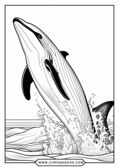 A detailed killer whale coloring page featuring intricate patterns and designs, perfect for creativity. Free printable for all ages!