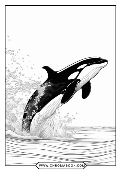 A detailed killer whale coloring page featuring intricate patterns and designs, perfect for coloring enthusiasts. Free printable!