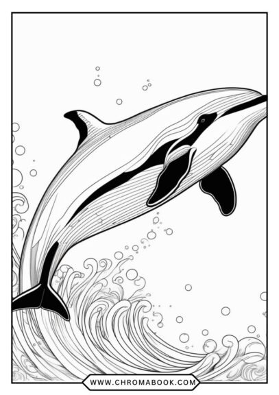 A detailed killer whale coloring page featuring intricate patterns and designs, perfect for creative fun. Free printable!