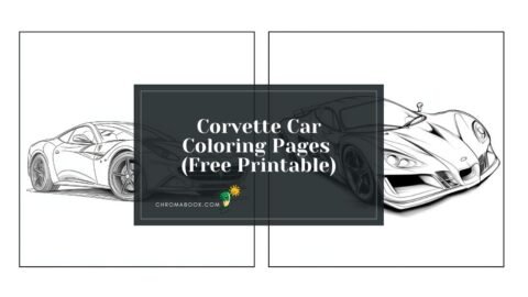 A dynamic Corvette sports car illustration on a coloring page, perfect for car enthusiasts. Enjoy this free printable!