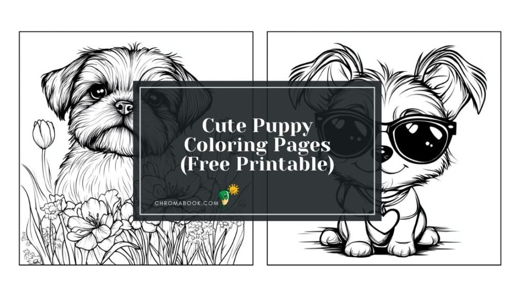 Cute Coloring Pages Chromabook