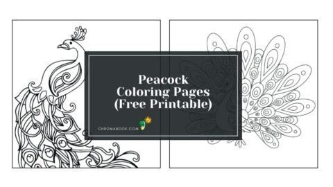 A detailed peacock coloring page featuring intricate feathers and elegant patterns, perfect for creativity. Free printable!